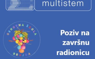 STEM detektivi – završna radionica